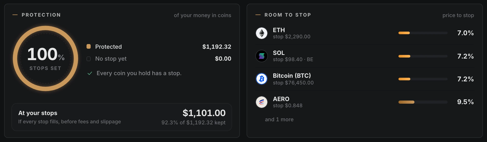 Portfolio overview across chains